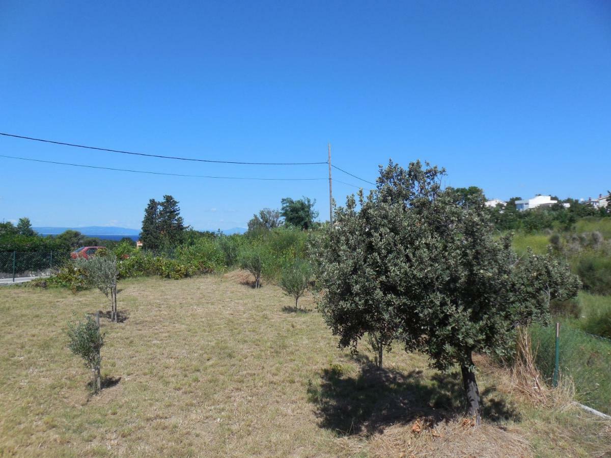 Apartments Mestrovic Lopar Εξωτερικό φωτογραφία